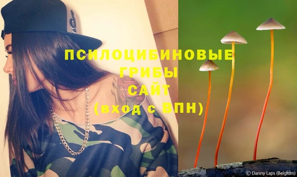 спиды Верхний Тагил
