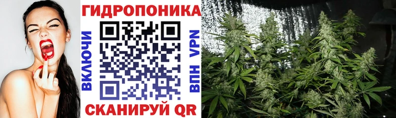 Конопля конопля  закладка  Старица 
